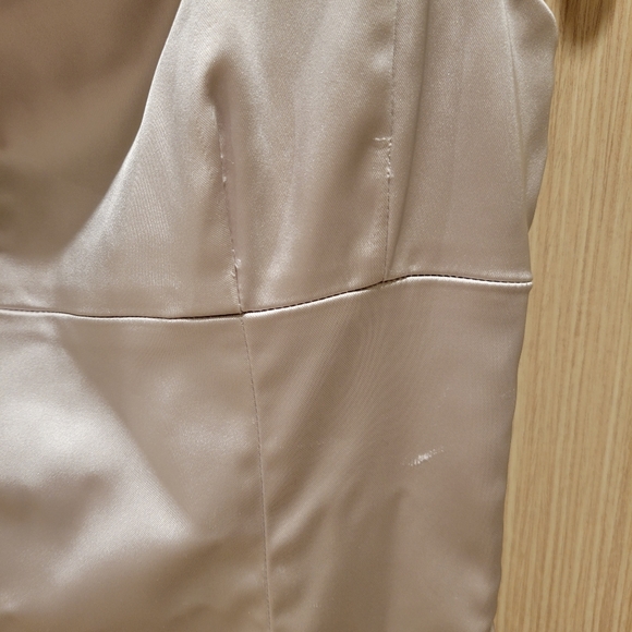 Aritzia Shine Dress - Picture 5 of 5